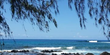 Kauai Man Gears Up for Transformative Surgery After Surviving a Near-Death Experience