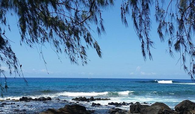 Kauai Man Gears Up for Transformative Surgery After Surviving a Near-Death Experience