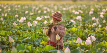 Latvian Farmers Brace for Challenges as a New Season Dawns