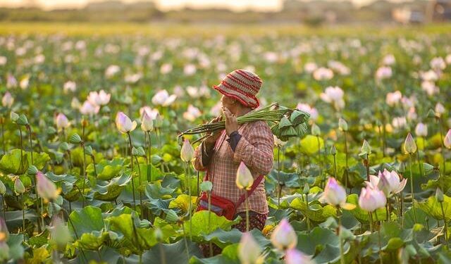 Latvian Farmers Brace for Challenges as a New Season Dawns