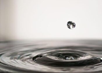 Transforming Lives: An Engaging Workshop on Water Tenure and Pastoralism in Senegal