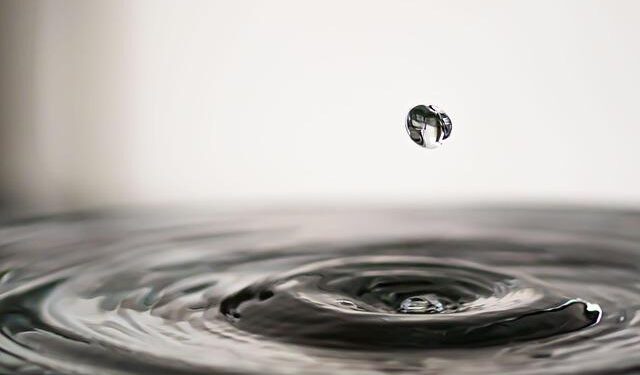 Transforming Lives: An Engaging Workshop on Water Tenure and Pastoralism in Senegal