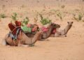 Passionate Discussions Ignite in Mauritania: What Lies Ahead for Private Schools?