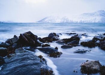 Chasing Shadows: Unveiling the Enigmatic Allure of Norway’s Northern Lights