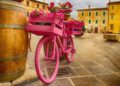 Paul Magnier Triumphs as Giro d’Italia Bids Farewell to Bulgaria!