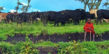 Tanzania’s Tourism Takes Flight: A Stunning 51% Increase in Visitor Arrivals!