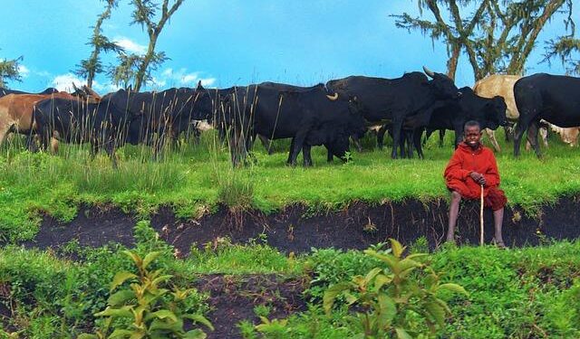 Tanzania’s Tourism Takes Flight: A Stunning 51% Increase in Visitor Arrivals!