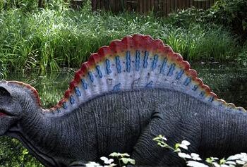 Unearthing Niger’s Ancient Fossil Treasures: From Dinosaurs to Supercrocs!