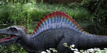 Unearthing Niger’s Ancient Fossil Treasures: From Dinosaurs to Supercrocs!
