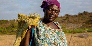 Urgent Food Crisis Looms: Africa’s Farmers Struggle Amidst Shrinking Fertilizer Supplies