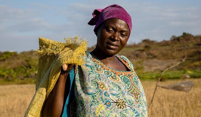 Urgent Food Crisis Looms: Africa’s Farmers Struggle Amidst Shrinking Fertilizer Supplies