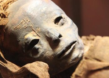 Remarkable Find: Egyptian Mummy Discovered with a Copy of the ‘Iliad