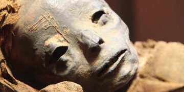 Remarkable Find: Egyptian Mummy Discovered with a Copy of the ‘Iliad