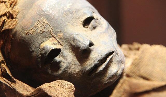 Remarkable Find: Egyptian Mummy Discovered with a Copy of the ‘Iliad