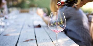 Uncover Two Irresistible South African Wines at Unbeatable Prices!