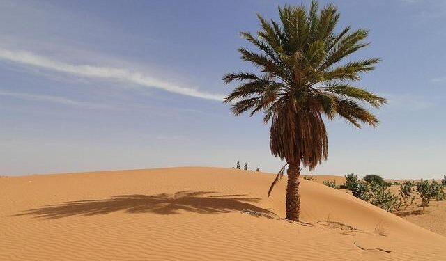 Unearthing Riches: The Thrilling Gold Rush Transforming Mauritania’s Sahara