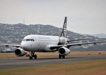 Elevate Your Travel Experience: Discover Air New Zealand’s Game-Changing Bunk Beds!