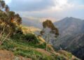 Exposing the Hidden Consequences of Unjust Sanctions on Eritrea