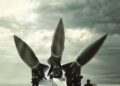 USINDOPACOM Takes Action: Key Insights on Recent DPRK Missile Launches