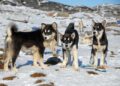Rubio Ignites Controversy: Is Greenland Truly Just a Piece of Denmark?