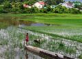 Asia’s Future Unveiled: Confronting Conflict, Market Turbulence, and the Tech Revolution