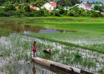Asia’s Future Unveiled: Confronting Conflict, Market Turbulence, and the Tech Revolution