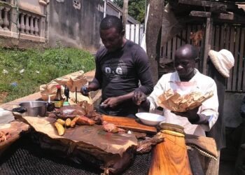 Chaos Unleashed: Violence and Mass Arrests Follow Controversial Elections in Cameroon