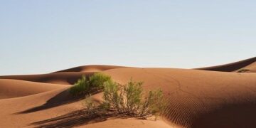 Discovering Wealth: Morocco Welcomes Washington to Uncover Western Sahara’s Hidden Mineral Riches