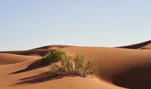 Discovering Wealth: Morocco Welcomes Washington to Uncover Western Sahara’s Hidden Mineral Riches