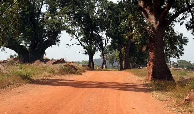 Burkina Faso: Striking the Perfect Balance Between Security and Diplomacy