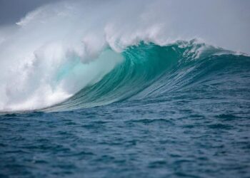 Explore the Stunning Seascapes of Vanuatu: An Inspiring Adventure for Ocean Conservation