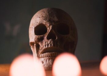 Unearthing the Mystery: The Fascinating Discovery of 77 Headless Skeletons in an Ancient Neolithic Ditch