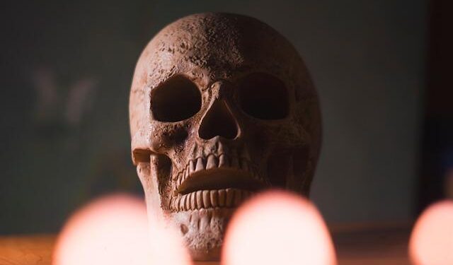Unearthing the Mystery: The Fascinating Discovery of 77 Headless Skeletons in an Ancient Neolithic Ditch