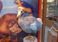 Miracle in the Skies: A Rare Extinct-in-the-Wild Bird Hatches at the National Aviary!