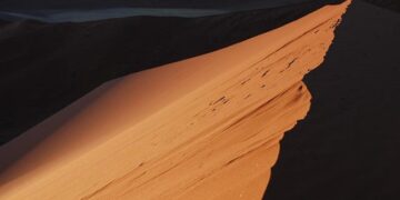 Transforming Lives: The Inspiring Effects of Bird Conservation Projects in Namibia