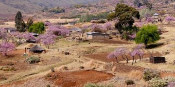 Unlocking Potential: How Lesotho’s SMEs Can Drive Sustainable Growth and Make a Lasting Impact