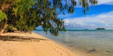 Unveiling Palau: Discovering the Heart of Its Population and Demographics