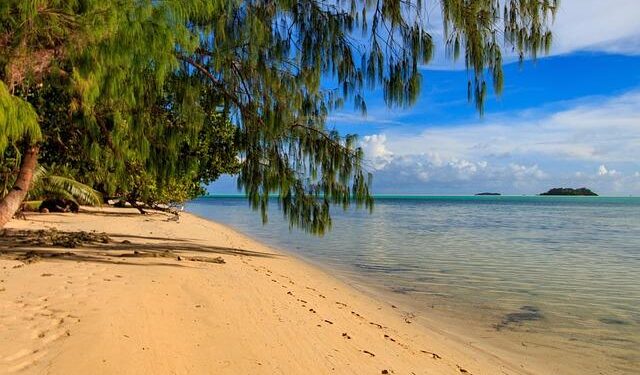 Unveiling Palau: Discovering the Heart of Its Population and Demographics