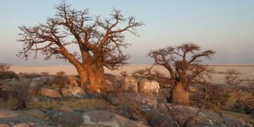 Botswana Embraces the Artemis Accords: Igniting a New Era for Africa’s Space Aspirations!