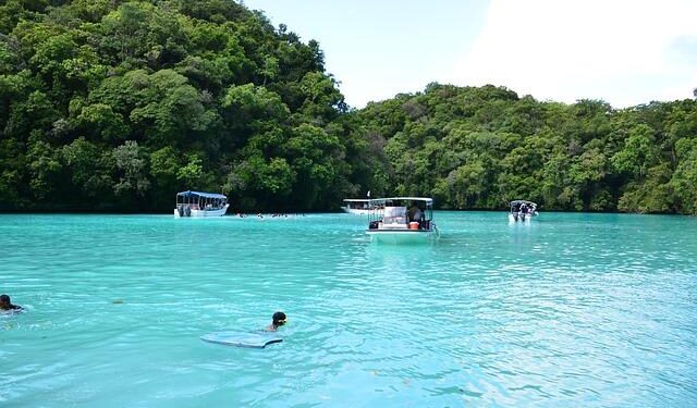 Dive into the Colorful Celebration of Micronesia at Bishop Museum!