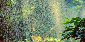 Scorching June Heatwave Grips Northern Ireland: Day Four of Unprecedented Temperatures Before a Dramatic Weather Change!