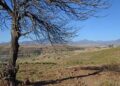 Facing the Challenge: How US Aid Cuts Impact Lives of Those Affected by HIV in Lesotho