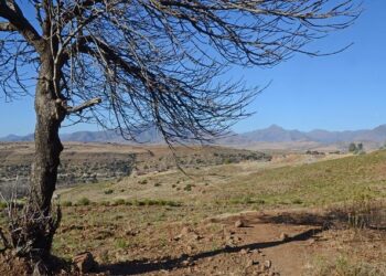 Facing the Challenge: How US Aid Cuts Impact Lives of Those Affected by HIV in Lesotho