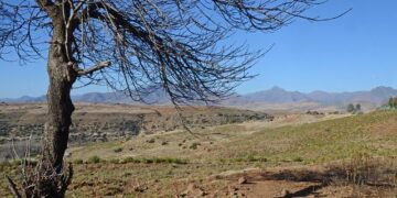 Facing the Challenge: How US Aid Cuts Impact Lives of Those Affected by HIV in Lesotho