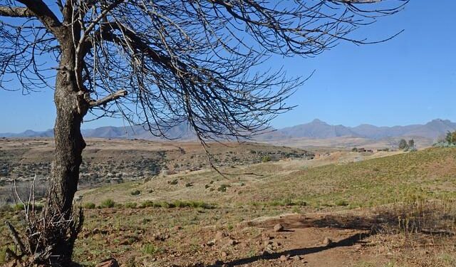 Facing the Challenge: How US Aid Cuts Impact Lives of Those Affected by HIV in Lesotho