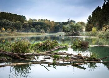 Slovakia’s Financial Crisis: The Urgent Need to Address LGBTI+ Discrimination