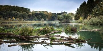 Slovakia’s Financial Crisis: The Urgent Need to Address LGBTI+ Discrimination