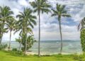 Unveiling the Mysteries of the Samoa Basin: Exciting Discoveries from Our Latest Box Coring Expedition!
