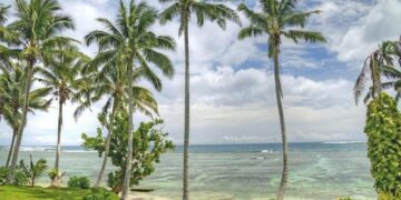 Unveiling the Mysteries of the Samoa Basin: Exciting Discoveries from Our Latest Box Coring Expedition!