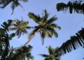 Governor Highlights Exciting Infrastructure and Energy Projects in American Samoa’s State of the Territory Address